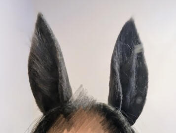 Uma